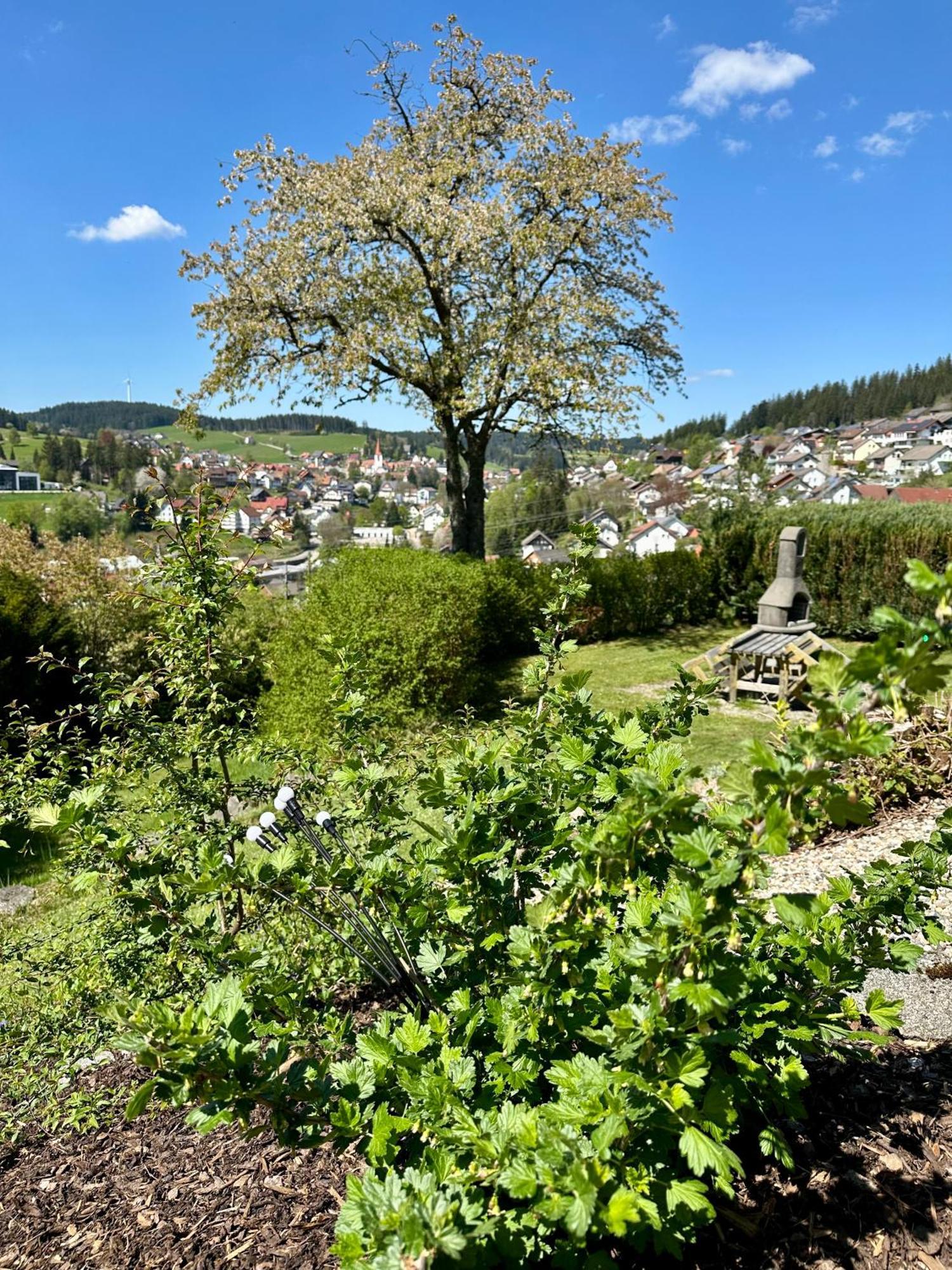 Sonneck Schonach Lejlighed Schonach im Schwarzwald Eksteriør billede