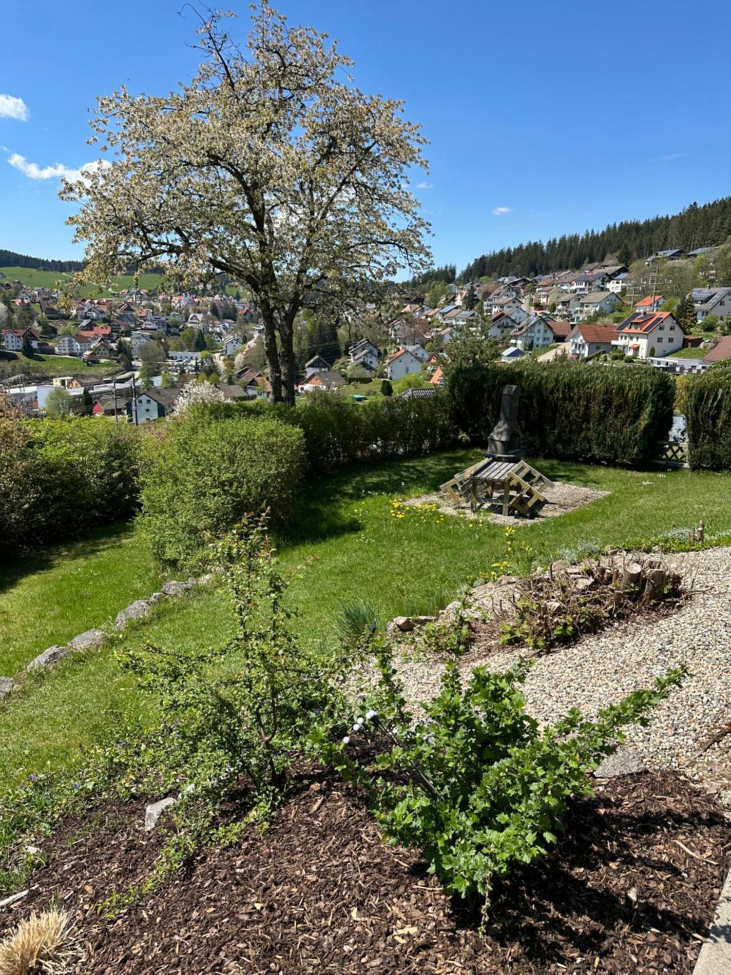 Sonneck Schonach Lejlighed Schonach im Schwarzwald Eksteriør billede